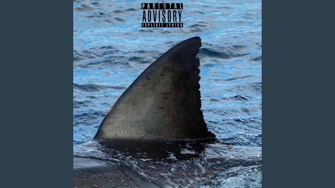 Shark Youtube