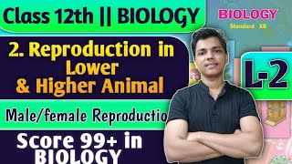 L-2 | 2. Reproduction in Lower and Higher Animal Class 12 Biology Sexual Reproduction #biology