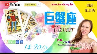 巨蟹座♋️十二星座运程(国语配音版)♦2023年5月14-20日♦财务出现强大波动♦不要太容易相信他人♦有机会参与群体活动♦不宜先洗未来钱♦｜2023年星座｜12星座运势週报｜🔮塔罗占星师 Renee