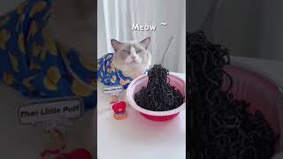 Cat Cooking Food | That Little Puff Cooking Food