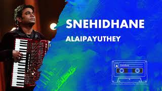 Snehithane Snehithane Song | Alaipayuthey | Madhavan | Shalini | AR Rahman