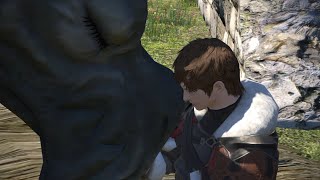 【FF14】パッチ5.3メインクエスト「クリスタルの残光」当日のプレイ動画【FFXIV】