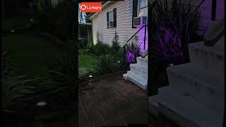 Transform Your Outdoor Space with Lumary Smart Landscape Lights!