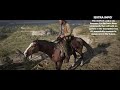 American Standardbred Overview  Red Dead Redemption 2 Horses