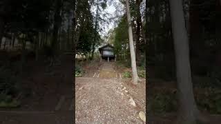 東広島市八本松町宗吉の大歳神社の参道⛩