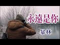 🎼💖 永遠是你 💖🎼 演唱 暴林