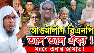 আওমীলীগ বিএনপি তলে তলে ঐক্য ! নির্বাচন নিয়ে কঠিন ষ/ড়যন্ত্র ! Afsari waz | Rafiqullah Afsari waz 2025