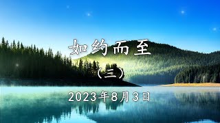 【与老师的再会  三】佛法开示中的真理与修行体悟｜ #忏悔 #修行体验 #灵魂觉醒