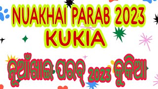 ନୂଆଁଖାଇ ପରବ୍ କୁକିଆ 2023 |nuankhai| Nuankhai bhetghat @APK Media