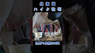 ハイジ牧場 Heidi Farm in Hokkaido #shorts #ハイジ牧場 #北海道 #farm