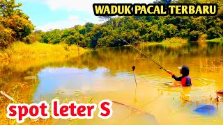 MANCING NILA LIARAN‼️PERDANA WADUK PACAL BOJONEGORO JAWA TIMUR❗spot leter S