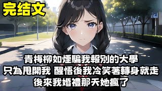 【爽文】青梅柳如烟暗示我只要和她考上同一所大學 她就和我在一起 当我真的考上的时候却发现她是骗我的 只为了甩开我 醒悟後我冷笑著轉身就走 後來我婚禮那天她瘋了...