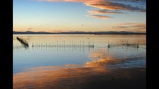 Places to see in ( Valencia - Spain ) Parque Natural de la Albufera