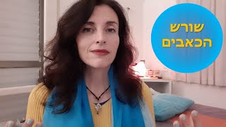 מהו שורש הכאבים? ~ יוליה בורוכוביץ'