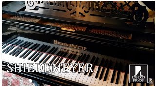 Assessment of Schiedmayer grand piano c1883 black