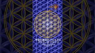 宇宙の創造のプロセスとフラワーオブライフ The Creation of the Universe/Flower of Life