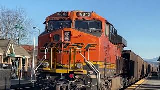 Puyallup Trains On January 18, 2025