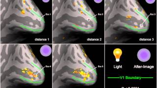 Real Time Brain Activity