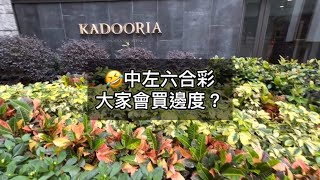 嘉多利山 Kadooria 1570呎💕豪宅地段👍睇住租盤先🤣名人聚居地🌟我就覺得好方便🍕🍔#何文田 #豪宅 #豪宅地段 #樓齡新 #露台 #會所#名人最愛#樓市 #睇樓團