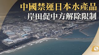 《鳳凰早班車》中國禁運日本水產品 岸田促中方解除限制；普京：將徹查普里戈任墜機身亡事故；印度“月船3號”探測器成功登月 ｜20230825下