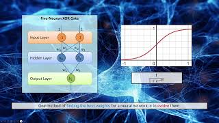 Evolved Neural Networks - Complex Systems Simulation and Artificial Life