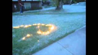 Burning Cottonwood in the front yard