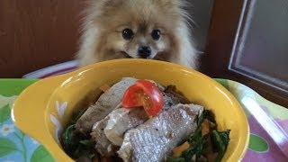 犬めし【わんごはん日記】ササッと　かつおステーキ