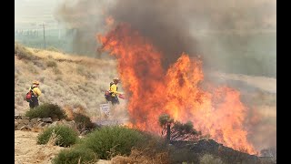 Fighting fire with fire at Seals Spring Estates