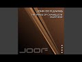 The Fires of Chameleon (Original Mix)