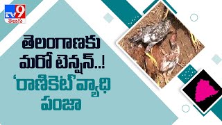 పెద్దపల్లి జిల్లా  కేంద్రంలో వింతవ్యాధి కలకలం - TV9