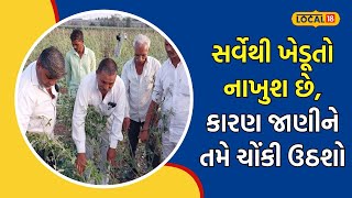 Farmer | કોણ સાંભળશે ખેડૂતની વેદના માવઠાના કારણે 90 ટકા નુકસાન થતાં વધી હાલાકી | #local18