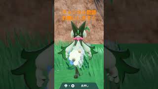 ポケモンSVマスカーニャの下半身を洗ってあげたら、うれしそうに、奇声をあげた！