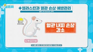 전신 탄력은 물론~! 혈관 건강에 도움을 주는 '엘라스틴' | 헬프미 3회 | JTBC 231201 방송