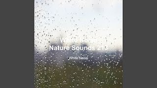 Light Rain Sounds for Sleeping