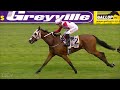 20221216 hollywoodbets greyville express clip race 2 won by action time