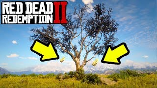 SECRET MONEY TREE THAT GROWS GOLD in Red Dead Redemption 2! RDR2 Easy Money & Fast Money!