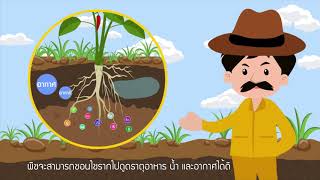 ความสำคัญของทรัพยากรดิน