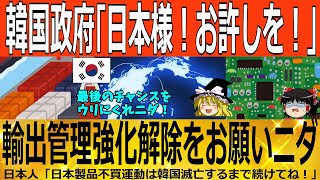 【ゆっくり解説】韓国政府「許して！日本様！！！」日本製品なしでは生きられず、輸出管理強化解除を懇願ｗｗｗ　韓国ゆっくり解説（爆）