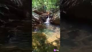 Dev jharan water fall patali sikhetra kotsamalai