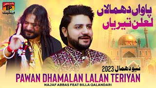 Pawan Dhamalan Lalan Teriyan | Najaf Abbas Feat Billa Qalandari | TP Manqabat