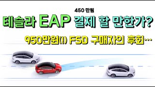 테슬라 EAP : 450만원 돈 쓸만 한 기능인가?