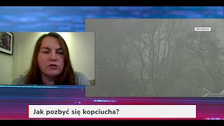 Jak za darmo pozbyć się kopciucha? Szczegóły programu Kawka bis