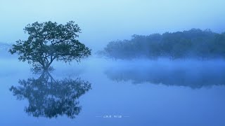 TOHOKU Relax 東北へ、東北へ。15秒