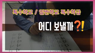 초등학교~ 아픈손가락 어디로 보내시겠습니까? 특수학교/일반학교 특수학급