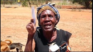 SEE MACHAKOS RESIDENTS' REACTIONS AFTER OVER 5000 DOGS WERE VACCINATED AGAINST RABIES!