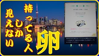 『Pokémon GO』捕まえた！ミュウツー　 ポケモンGO Mewtwo  EXレイドバトル