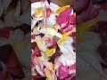 rose hydrolate 玫瑰純露 diy rose 化妝品 保濕 枕頭麻手作設計坊