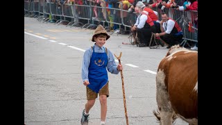 Almabtrieb, Seiser Alm