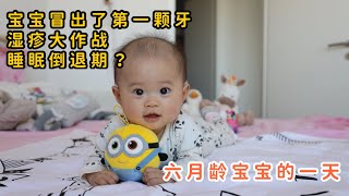 德国生活Vlog | 六月龄宝宝带娃的一天 宝宝长出第一颗牙齿 睡眠倒退严重 全身红疹停奶粉