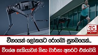 චීනයෙන් ලෝකයට රොබෝ සුනඛයෙක්... විශේෂ හැකියාවන් නිසා වාර්තා අතරට එක්වෙයි